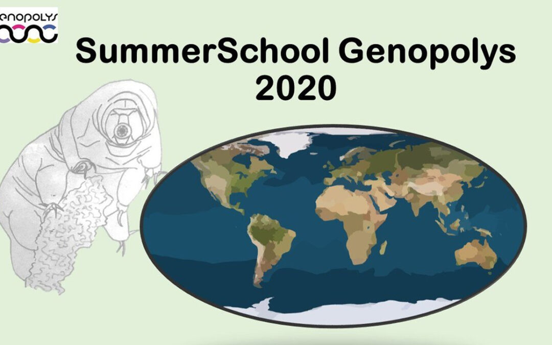 Les summerschools 2020 de l’extrème!